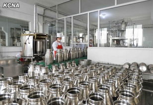 金正恩視察兒童食品廠 以責任之心守護下一代健康