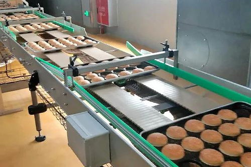 囍——恭祝四川食品廠十萬級凈化車間成功投產，邁向綠色健康新紀元